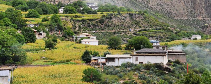 5萬在農村開什么加工廠