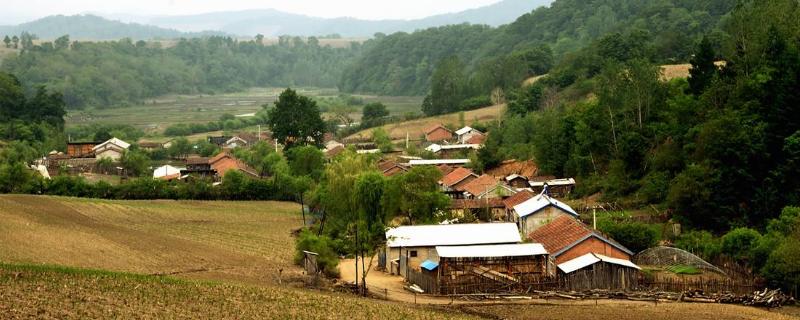 農村治富創業好項目