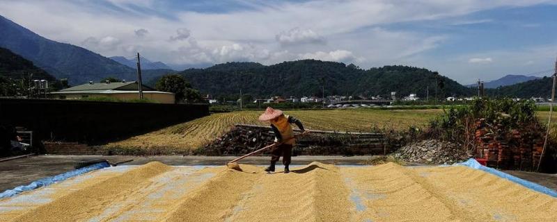 未來十年農(nóng)村發(fā)展趨勢