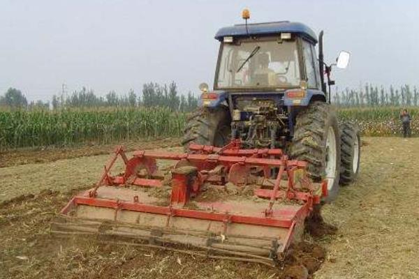 10個農村創業好項目