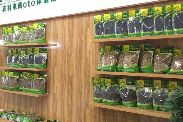 10個農村創業好項目