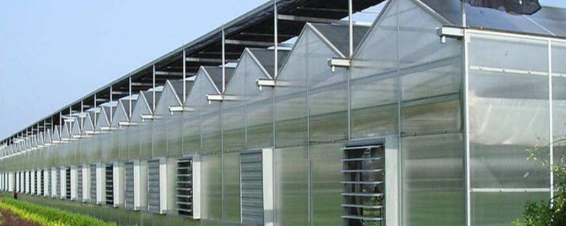 大棚蔬菜一般一畝鋼架大棚造價多少