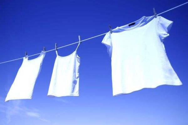 殺蚊子較強的農藥，這些農藥效果好