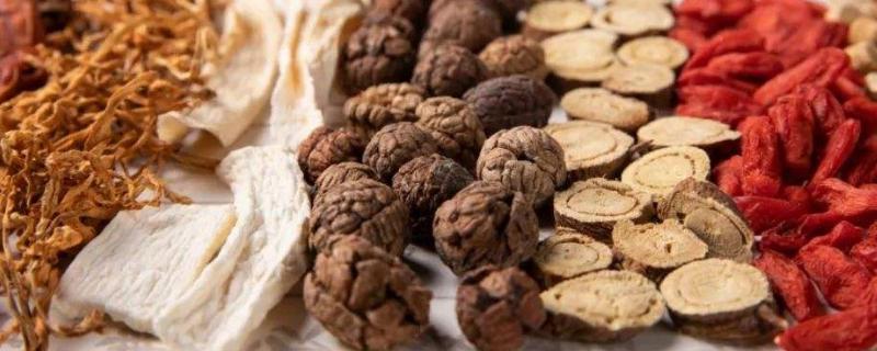 種植什么藥材值錢，好種是關鍵