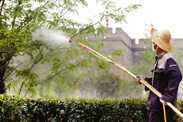 殺蚊子較強的農藥，這些農藥效果好