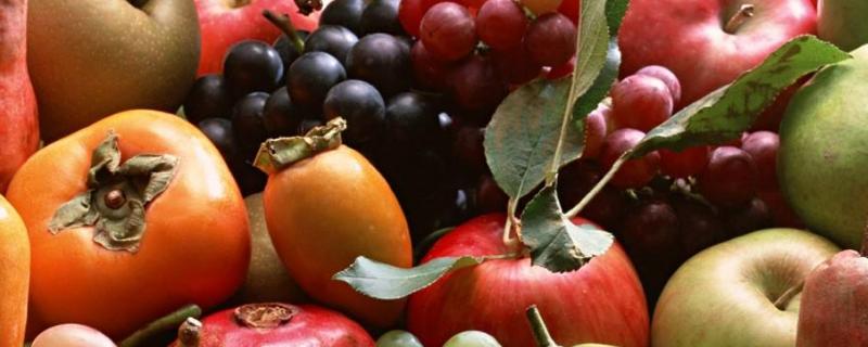 夏天是什么水果上市的季節(jié)