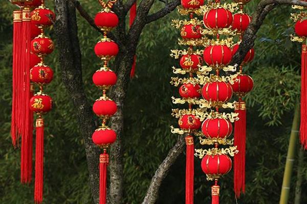 過年有什么好的致富項目