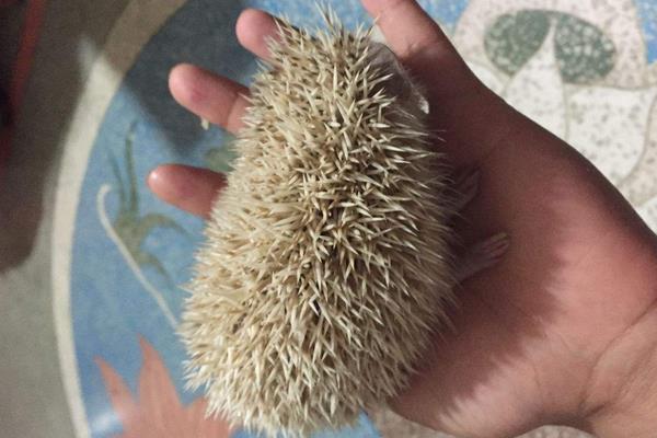 養殖什么掙錢快成本低