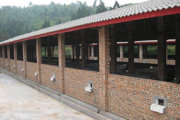 養(yǎng)殖蚯蚓的銷路在哪里,怎么找銷路