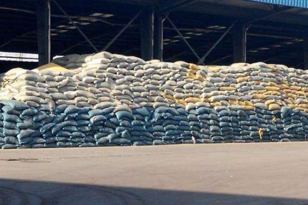 養(yǎng)殖蚯蚓的銷路在哪里,怎么找銷路