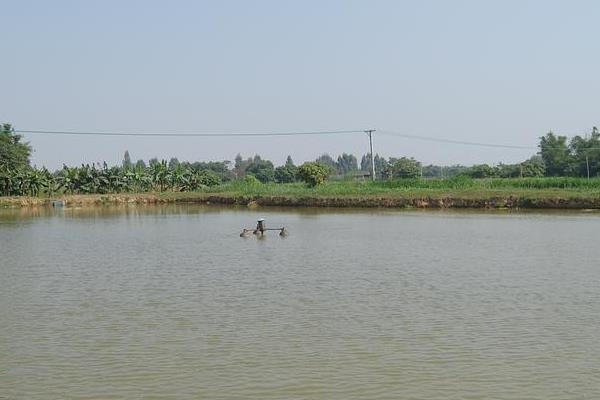 紅蟲怎么養(yǎng)殖