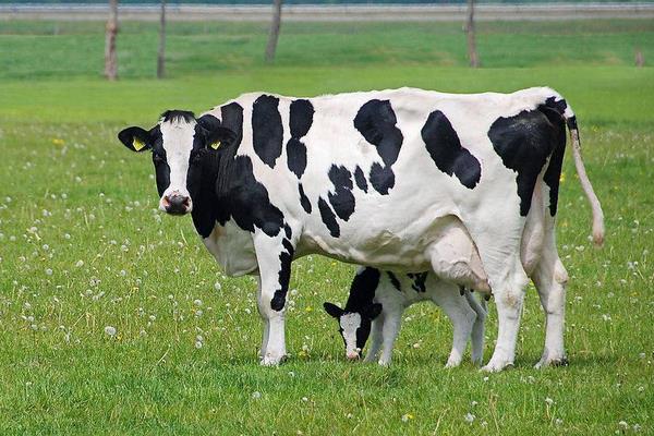 促排三號使用時間,怎么使用