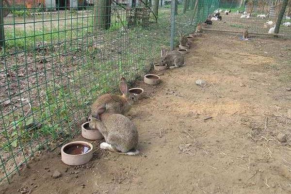 促排三號使用時間,怎么使用