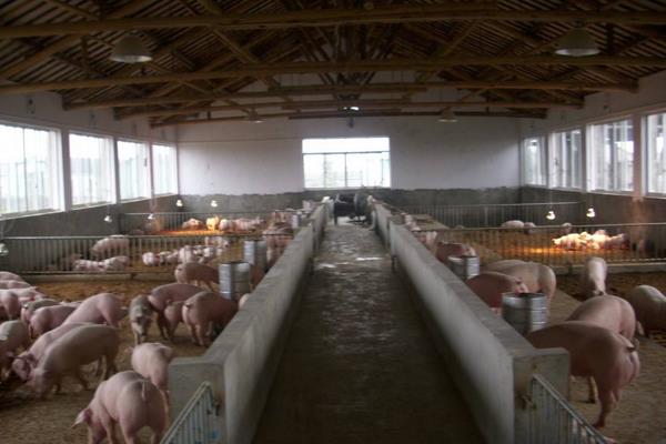 促排三號使用時間,怎么使用