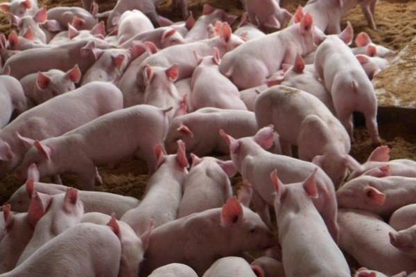 促排三號使用時間,怎么使用