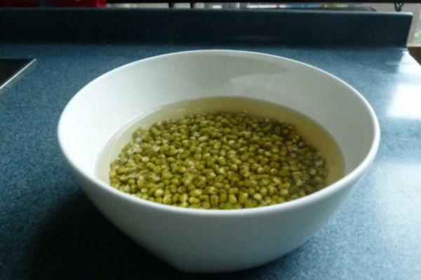 豆芽怎么種植方法，附過程