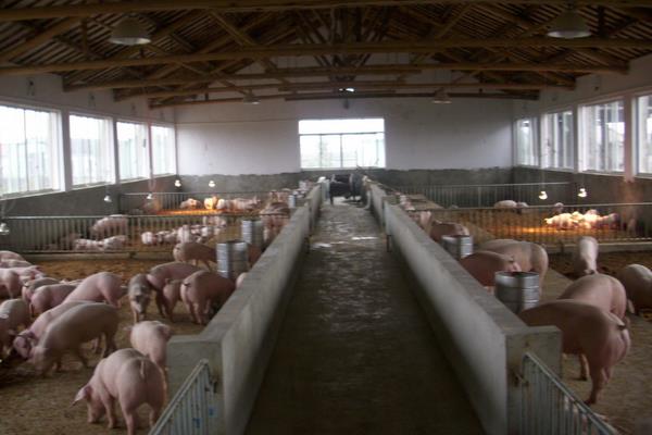 農村干什么行業能掙錢，8個2020年新項目推薦