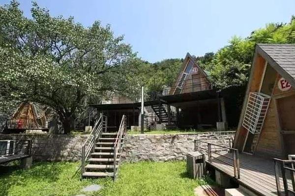 農村干什么行業能掙錢，8個2020年新項目推薦