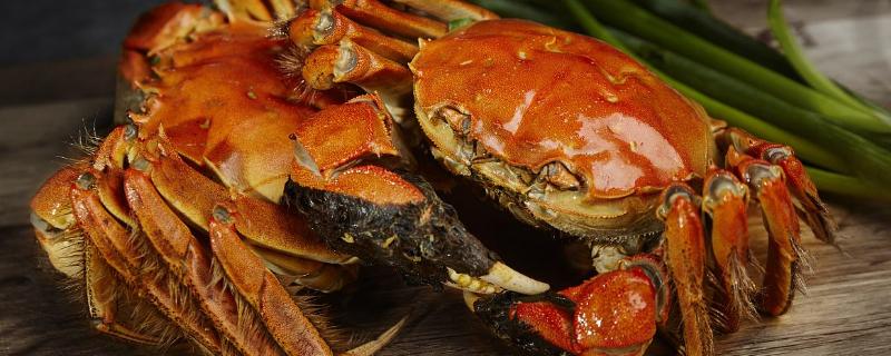大匣蟹死了可以吃嗎，死多久的可以吃？