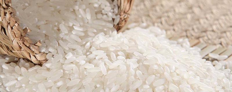 米出蟲了還可以吃嗎，米出蟲是什么問題，怎么解決？