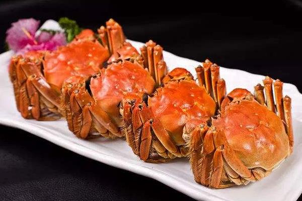 大閘蟹和柿子隔多久可以吃