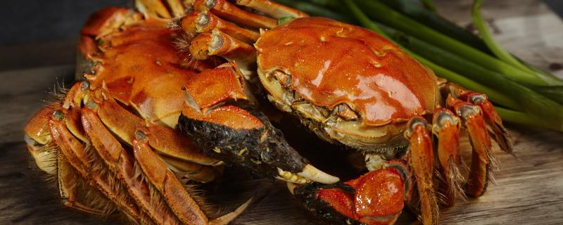 大閘蟹和柿子隔多久可以吃