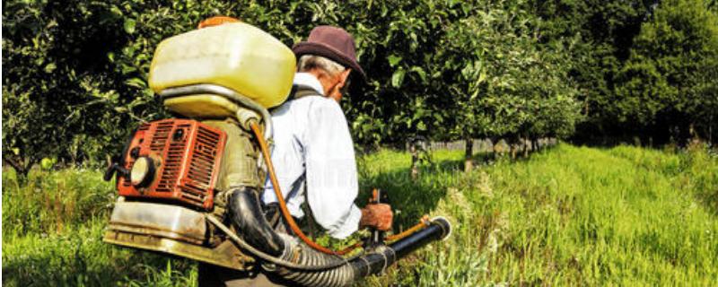 膨大素什么時間打