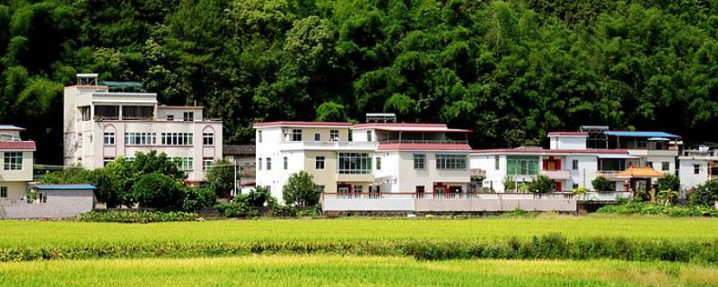 農民有什么好的致富項目