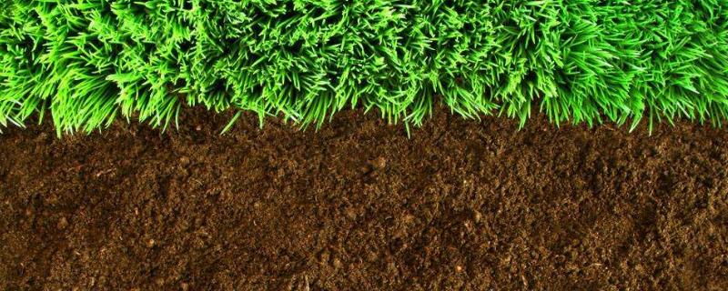 土壤檢測費用高嗎，一般是多少