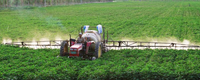 打葉面肥較合適的時機，在什么時候不能打？