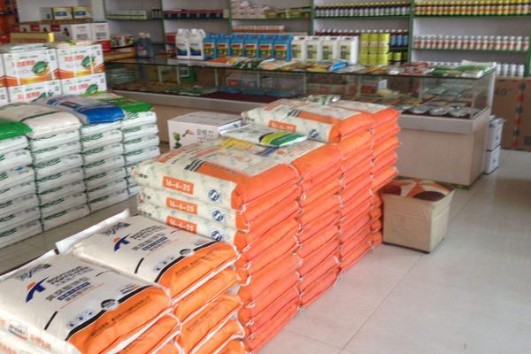 農村掙錢好項目有哪些