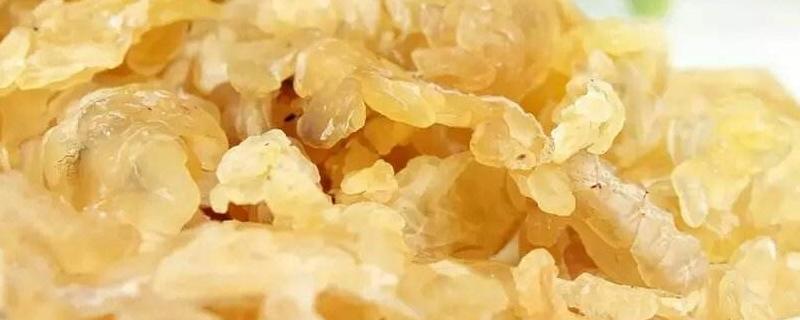 林蛙油怎么吃 林蛙油最簡單的吃法