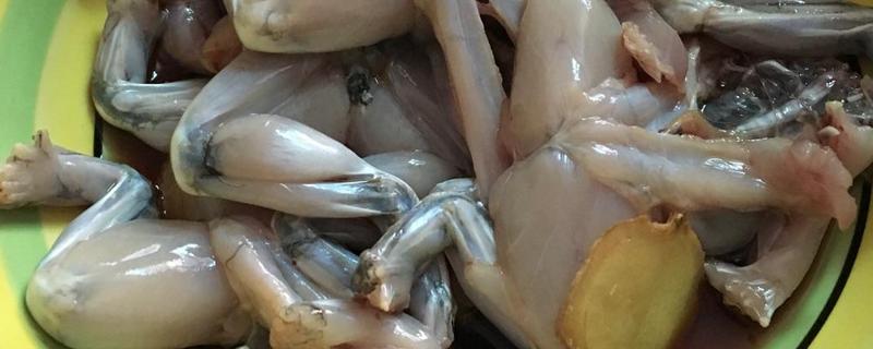 田雞是什么 田雞能吃嗎 田雞市場(chǎng)價(jià)格多少錢一斤