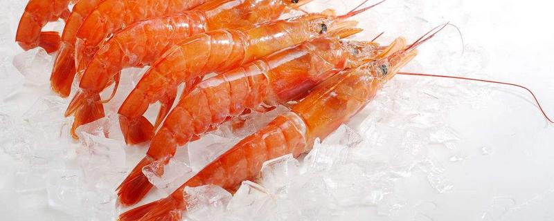 阿根廷紅蝦怎么做好吃又簡單 阿根廷紅蝦為什么去頭
