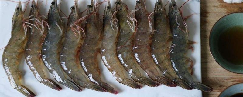鮮蝦怎么保存 新鮮蝦怎么做好吃