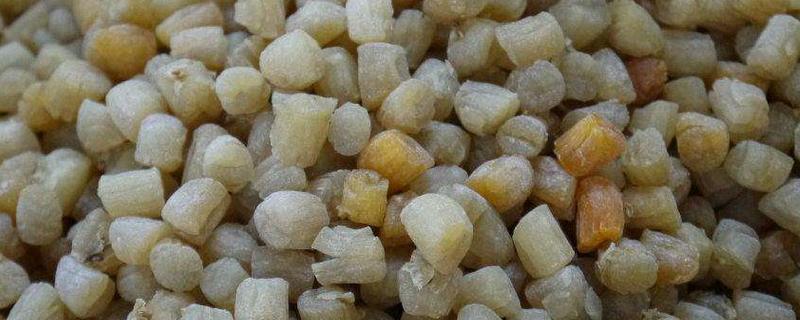 瑤柱是什么 瑤柱是扇貝的哪個部位