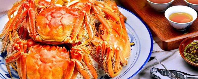 大閘蟹和河蟹的區別是什么 河蟹的營養價值