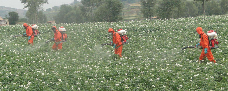 農(nóng)藥種類有哪些，主要根據(jù)用途、來源及加工劑來分