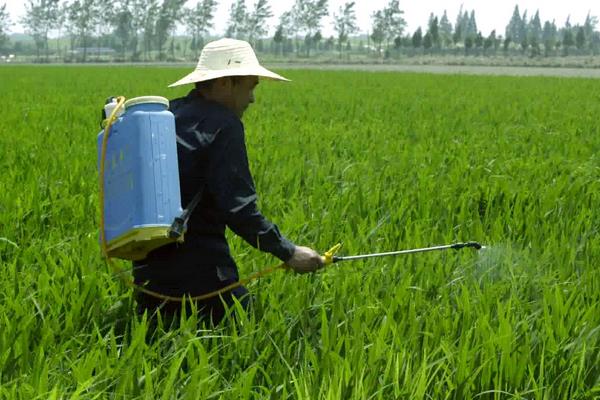 農(nóng)藥種類有哪些,主要根據(jù)用途、來源及加工劑來分