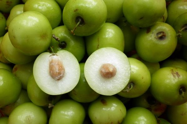 青棗前景好不好？種植技術(shù)決定效益