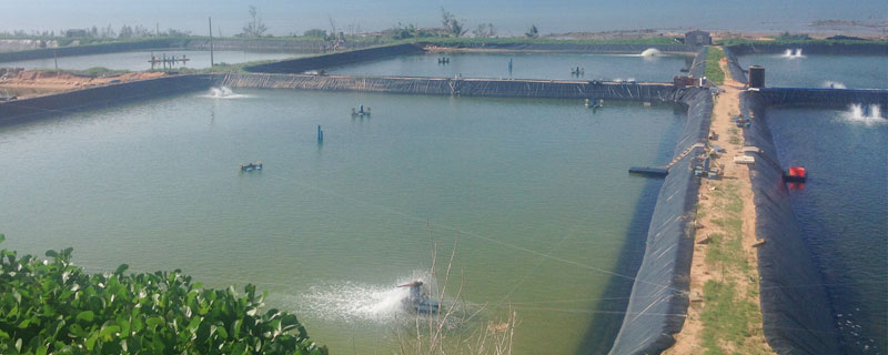 水產養殖技術學什么