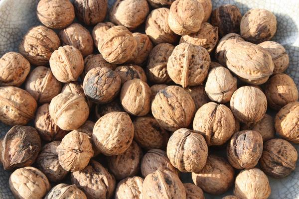 新疆特色種植品種有哪些?一年四季都有好吃的干鮮瓜果