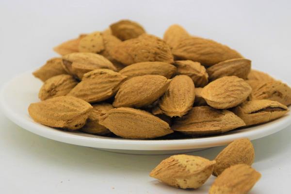 新疆特色種植品種有哪些?一年四季都有好吃的干鮮瓜果