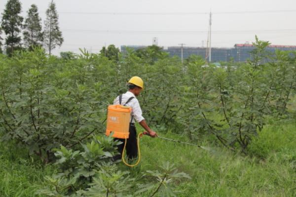 不傷果樹的除草劑