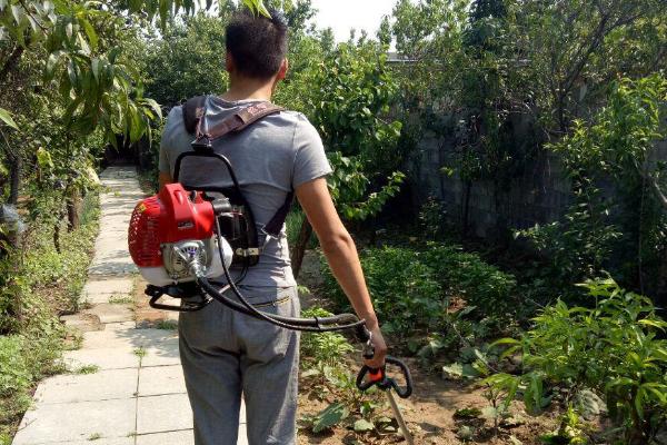 不傷果樹的除草劑