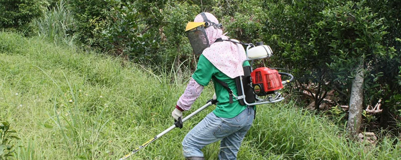 不傷果樹的除草劑，除草效果好且不傷果樹