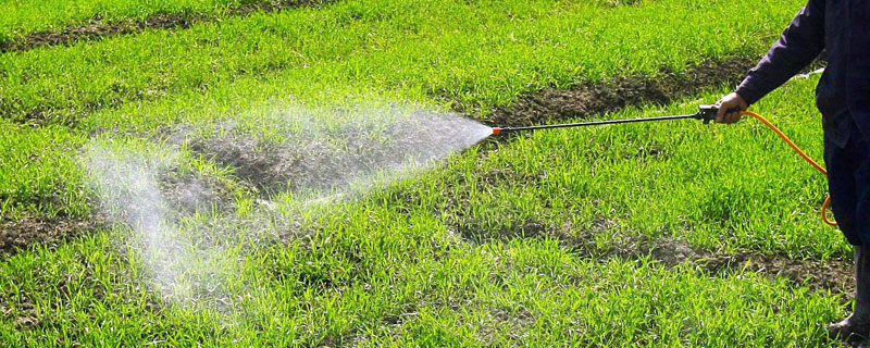 二甲戊靈的使用禁忌，使用方式和次數要注意