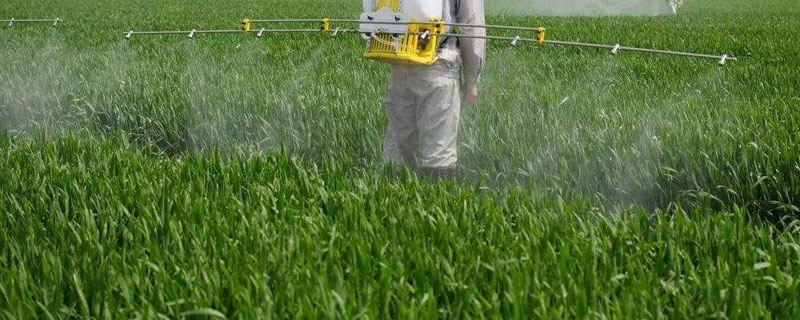 百菌清的使用方法，病害初期施藥效果最好