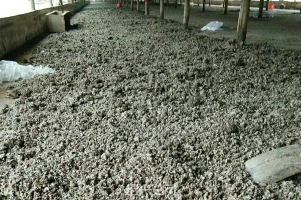 鴨糞處理成有機肥