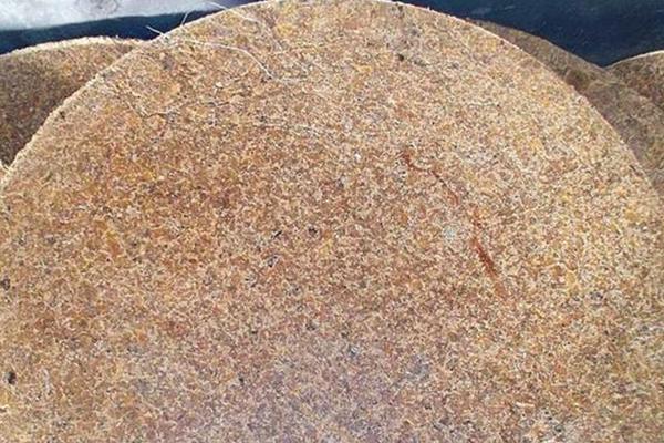 豆餅可以直接做底肥嗎